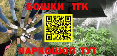 мдпв Обь