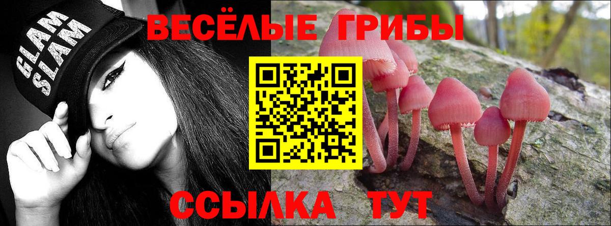 Псилоцибиновые грибы GOLDEN TEACHER  Галлюциногенные грибы ЛСД  наркота  Вход с VPN  Чапаевск 
